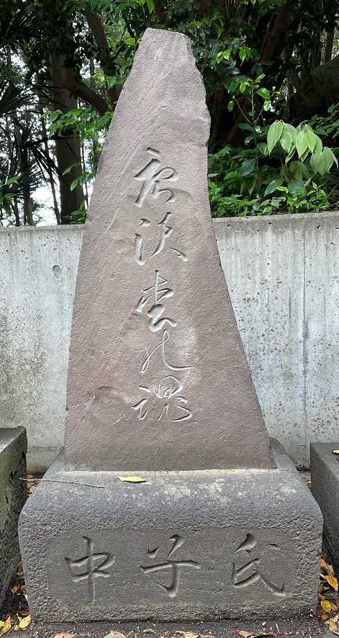 唐沢松の魂（高根神明社）