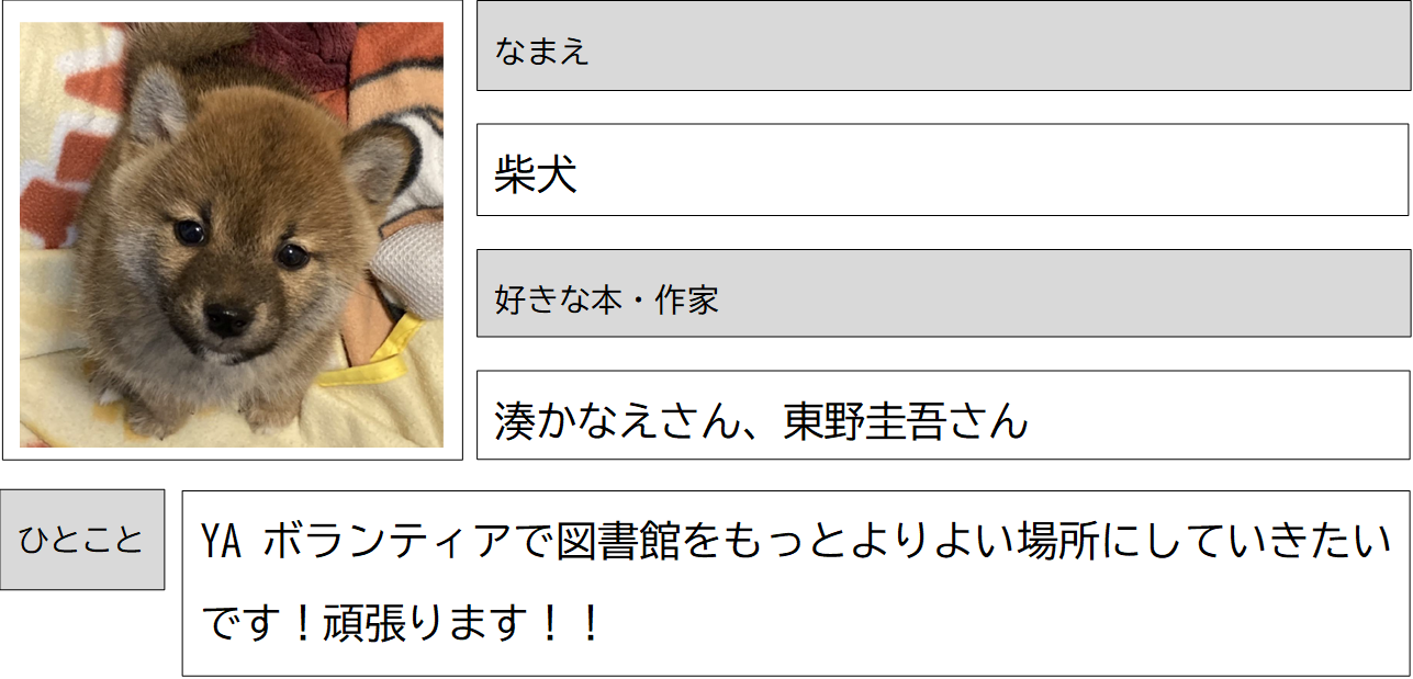 019_柴犬
