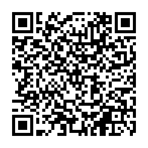 QR_「ウミガメのひみつ」トークショー