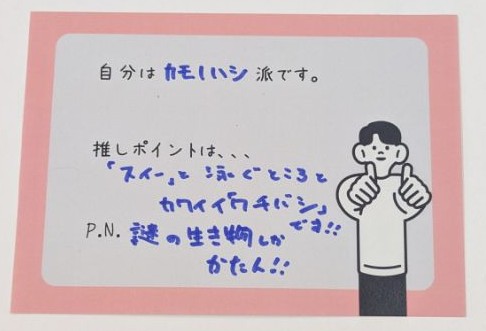 カモノハシ